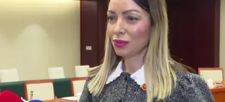 Mesarović sa slovačkim ministrima: Nastavljamo razvoj političkih i ekonomskih odnosa