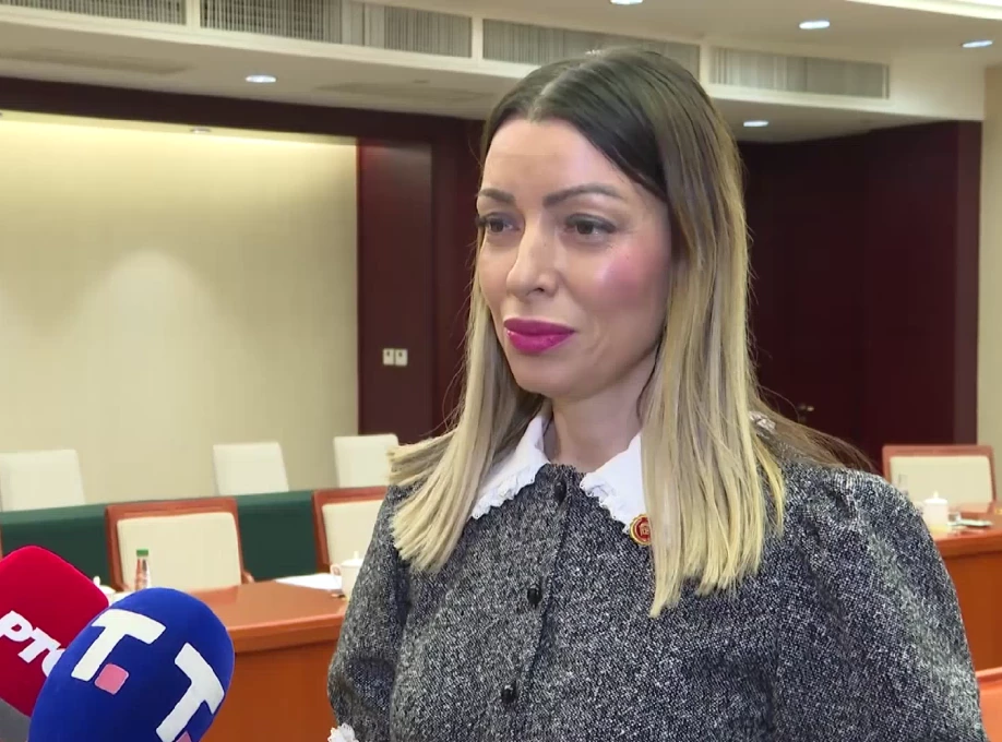 Mesarović sa slovačkim ministrima: Nastavljamo razvoj političkih i ekonomskih odnosa