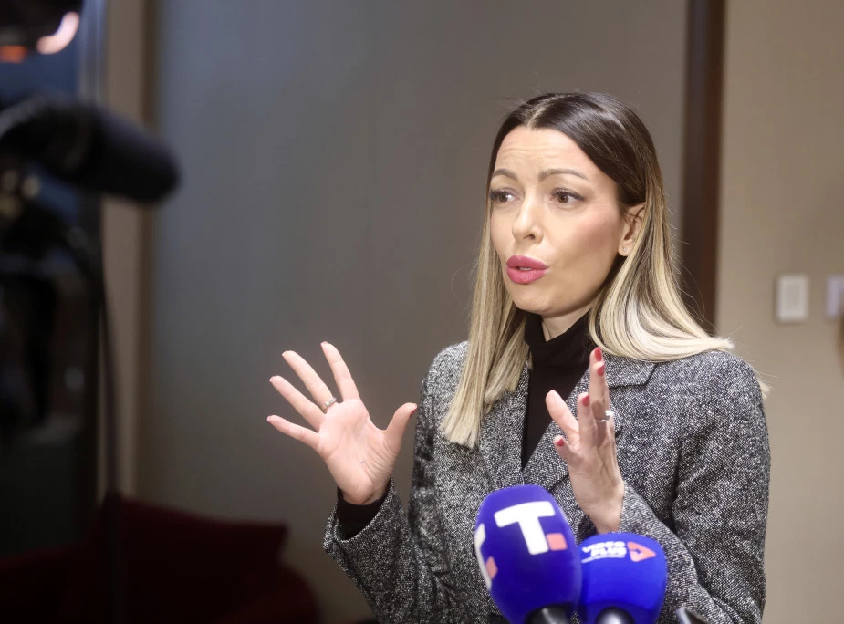 Mesarović: Boravak mali&scaron;ana iz dijaspore mnogo vi&scaron;e od druženja